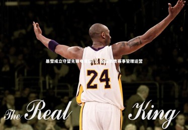 乐竟体育官方网站_暴雪成立守望先锋电竞部门，全面负责赛事管理运营